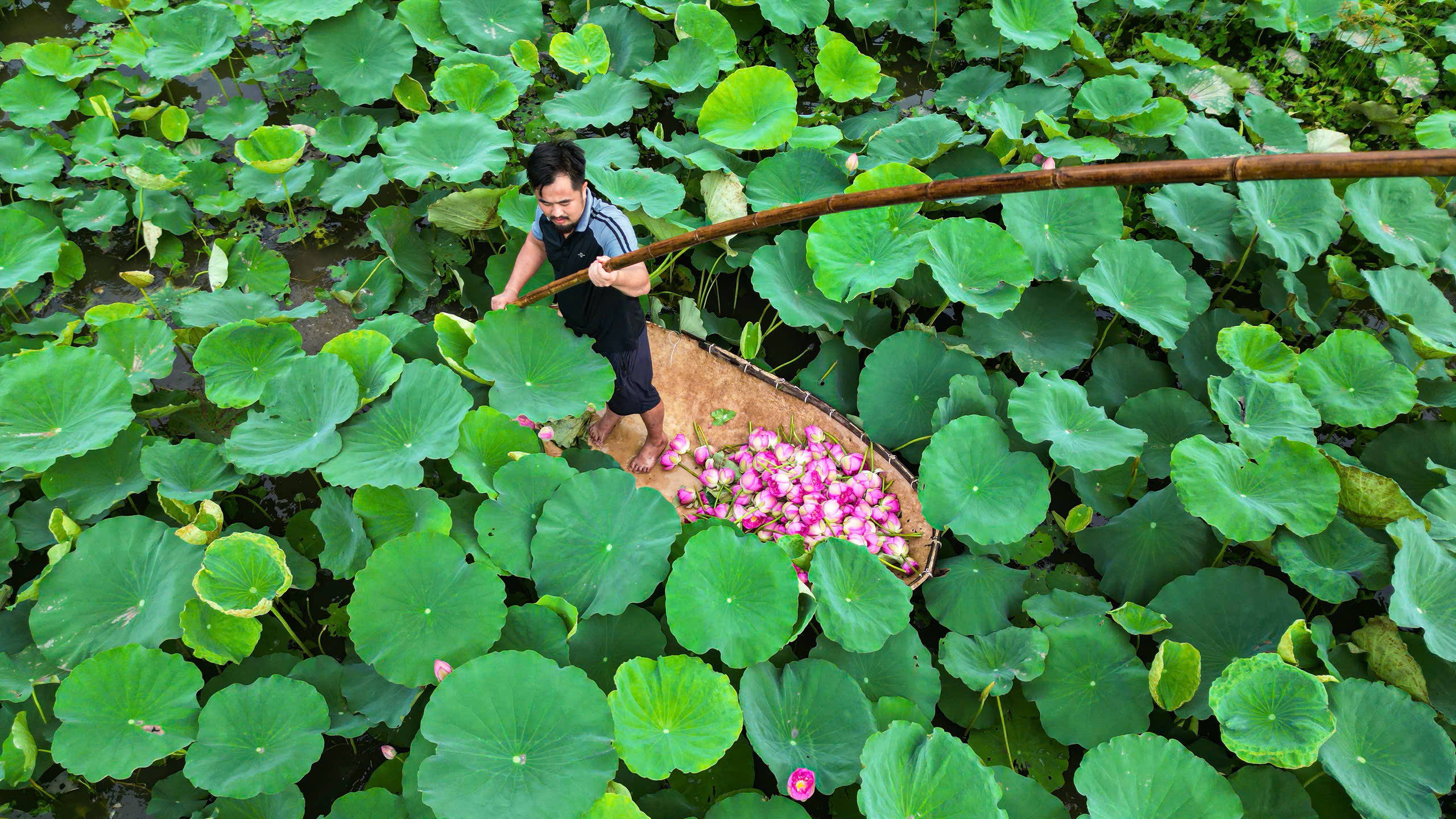 Nghệ nhân Phạm Thế Duyệt pha trà