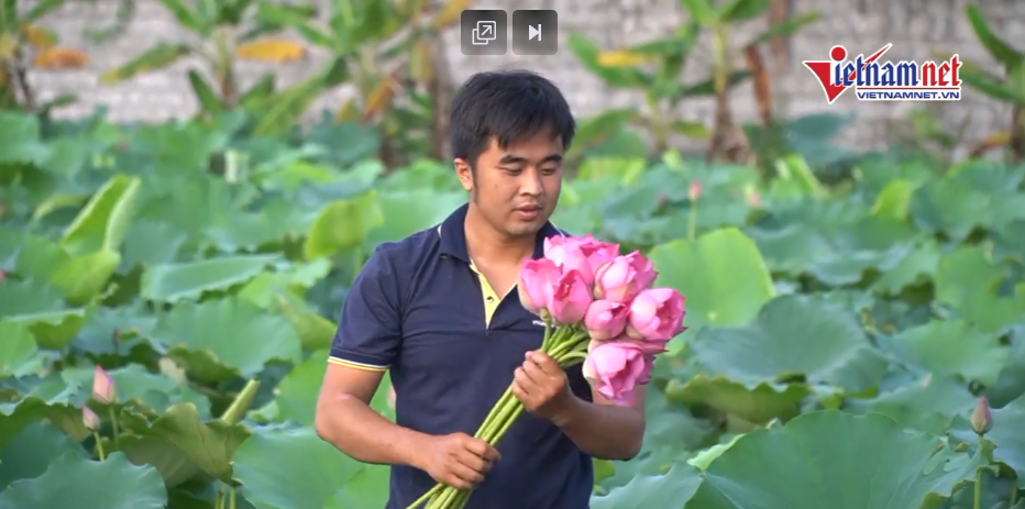 Vietnamnet
